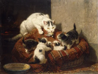 Un cadeau à plumes