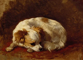 Un papillon