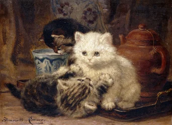Thé de l