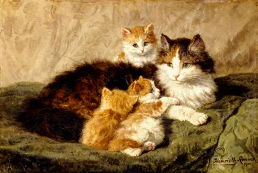 Contentement, 1900