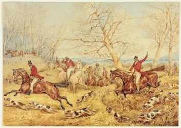 Chasse au renard