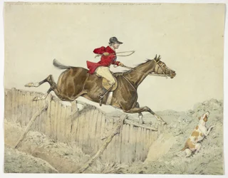 Cavalier à poil rose