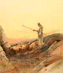 Un berger comptant ses moutons