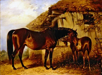 Jument et poulain