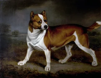 Ortie, 1812