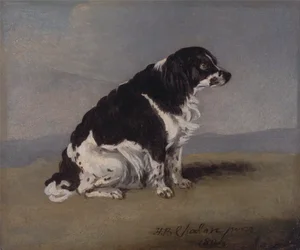 Le chien de la duchesse d
