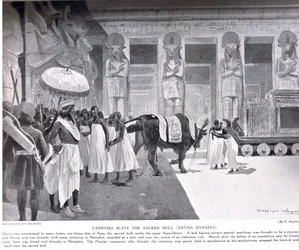 Cambyse tue le Taureau Sacré, illustration de 