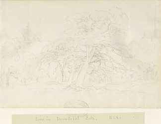 Parc de Beaudesert : dessin au crayon, nd [1788-1855]