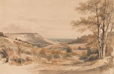 Boxhill depuis Westhumble Lane