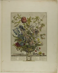 Février, des Douze Mois de Fleurs