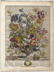 Douze mois de fleurs : Avril