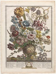 Douze mois de fleurs : Mars