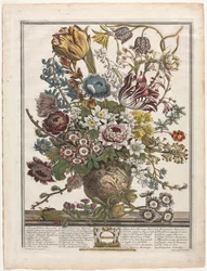 Douze Mois de Fleurs : Mars, 1730