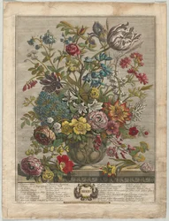 Les Douze Mois de Fleurs : Mai, 1730