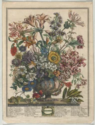 Douze mois de fleurs : octobre, 1730