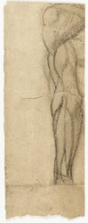 Études de nus