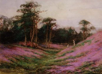 Près du camp de Romains, Sheringham, Norfolk