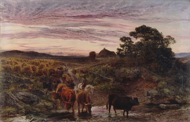 Bétail traversant un ruisseau