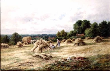 Les moissonneurs
