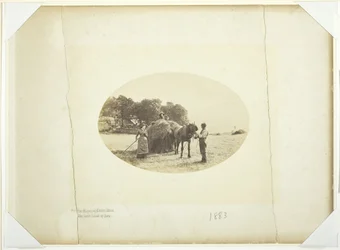 Sur les pentes de Cader-Idris, La Dernière charge de foin, 1883