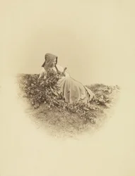 La cueillette du mois de mai