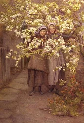 Fleur de pommier