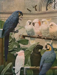 Un comité de sélection, 1891