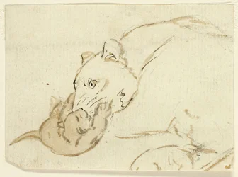 Cinq croquis de lions : Lionne et lionceau