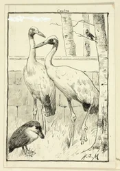 Quatre oiseaux dans un paysage