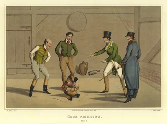 Combat de coqs (chromolithographie)