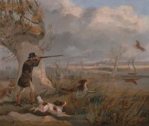 Chasse au canard