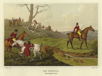 Chasse au renard