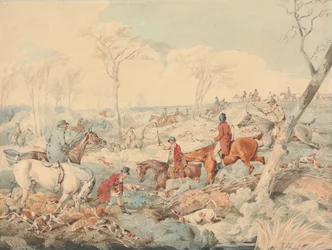 Chasse au renard : battre un fourré