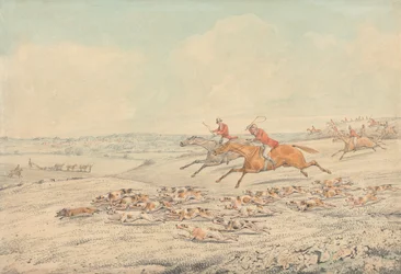 Chasse à courre