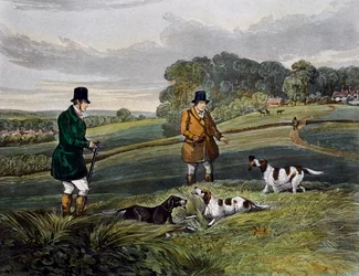 Chasse à la perdrix