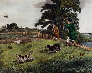 Chasse à la perdrix