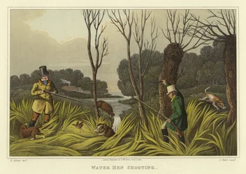 Chasse à la poule d