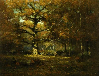 Bois du Connecticut