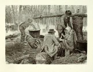 Préparer un dîner au camp