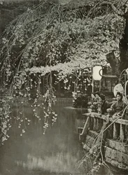 Temps des cerisiers en fleurs au Japon, 1910