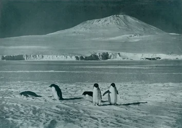 Mont Erebus, vers 1911, 1913