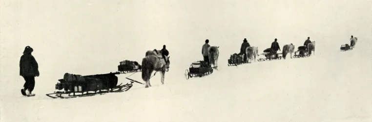 Poneys en marche, 1911