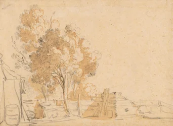 Arbres dans une cour