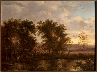 Chasse aux canards
