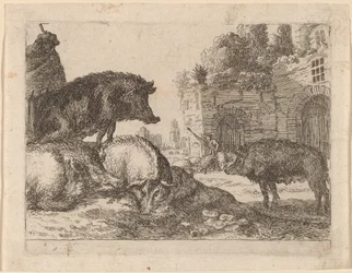 Cochons