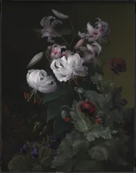 Plantes en fleurs