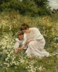 Cueillir des marguerites
