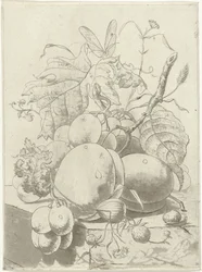 Fruits et une branche avec un papillon