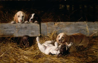 H. Biedermann-Arendts, Chiots jouant