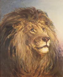 Une tête de lion